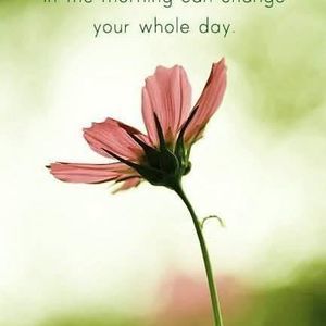 Meet your Posher, Lv